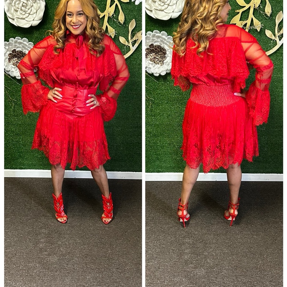 Red Lace Sheer Fit-and-Flare Dress with Bow Neck